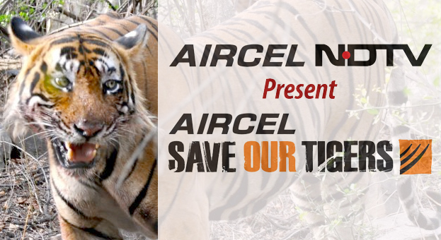 Save our Tigers