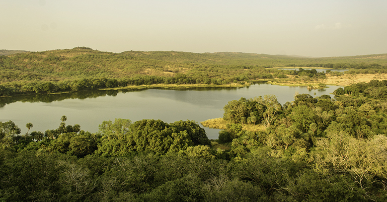 Lake View from Ranthambore Fort