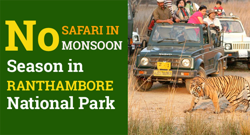 No Monsoon Safari in Ranthambore