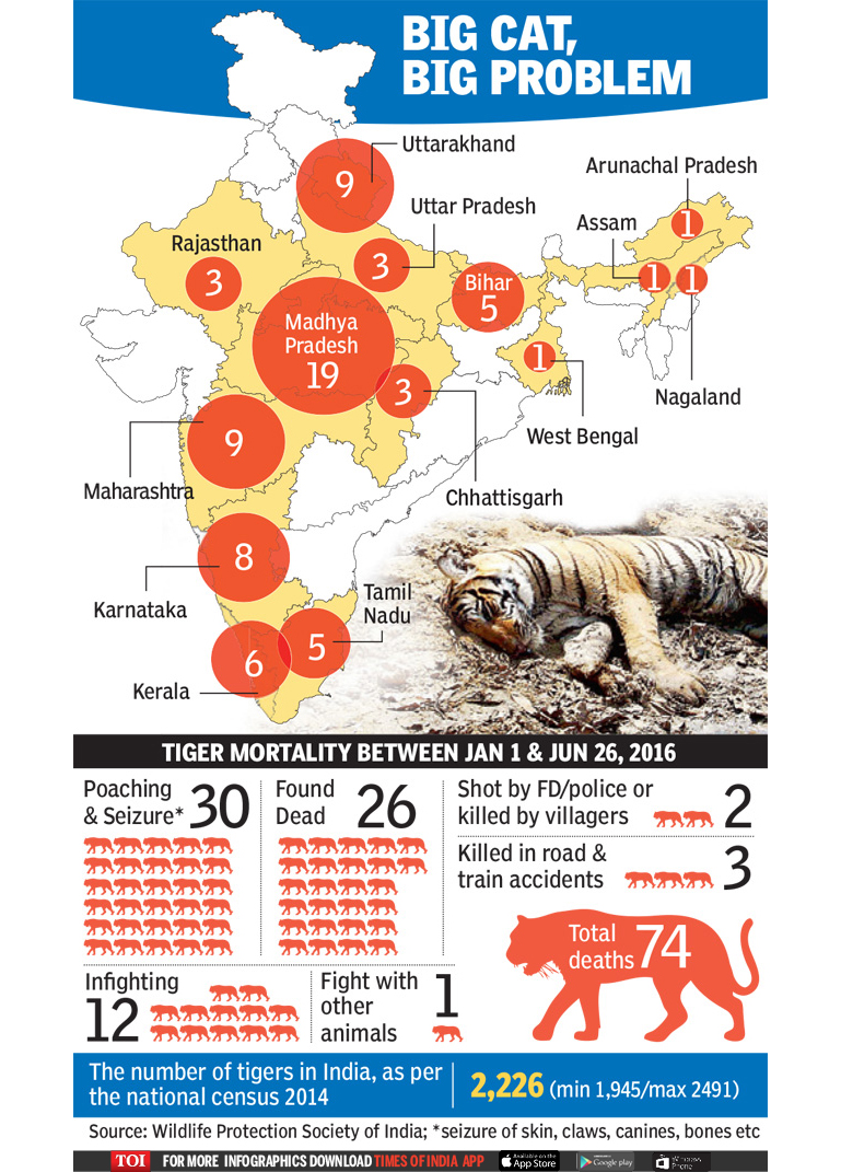 Tiger Death in- Idia Infographic