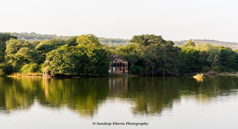 Lake- Ranthambore Park