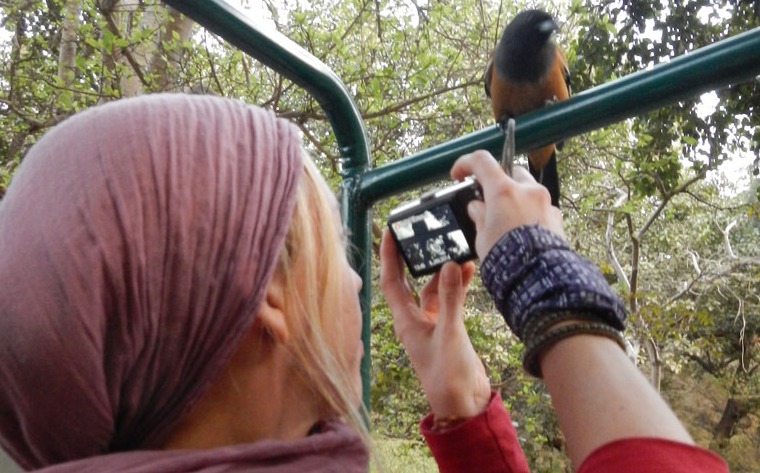 bird photography in ranthambore