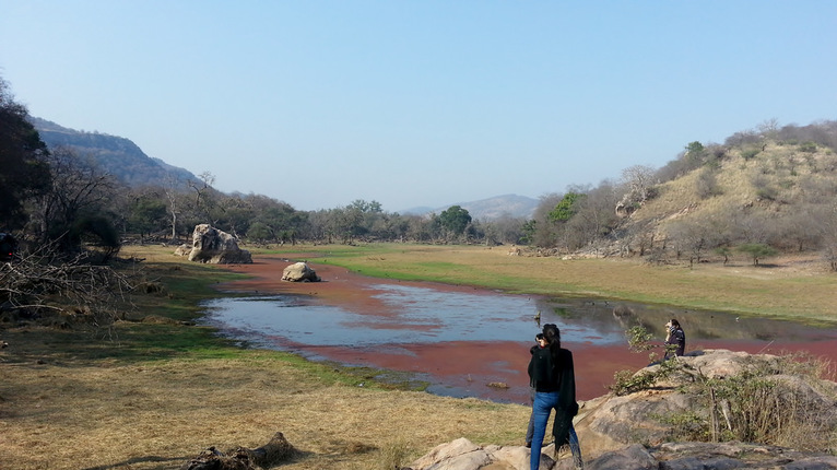 photographing the ranthambore