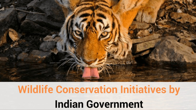 Wildlife Conservation Initiatives by Indian Government