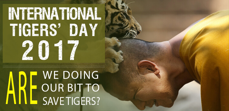 international-tigers'-day-2017