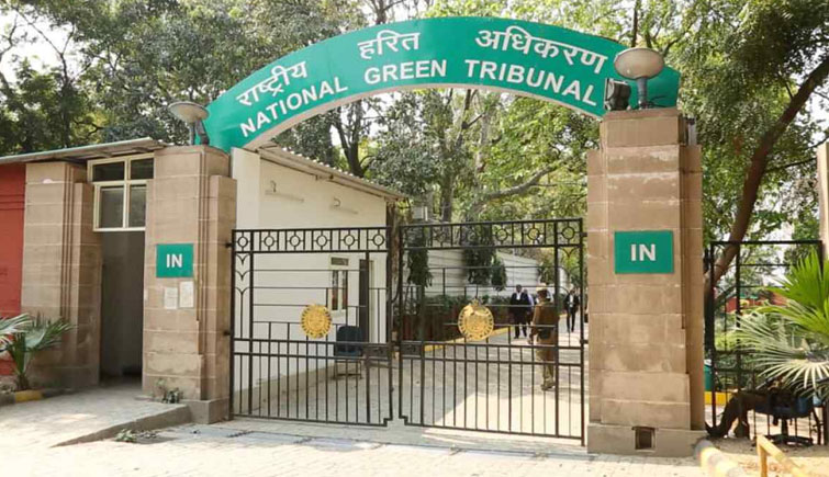 NGT bans mining in Buffer zone