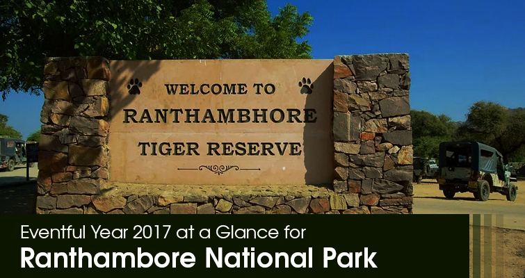 Year 2017 for Ranthambore National Park