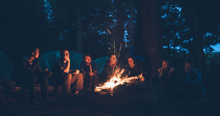 Group Staying Wildlife Safari