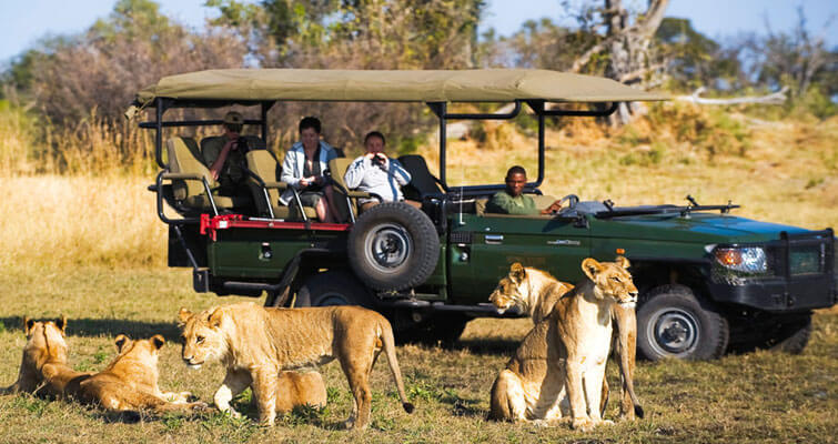 Keep Calm Wildlife Safari