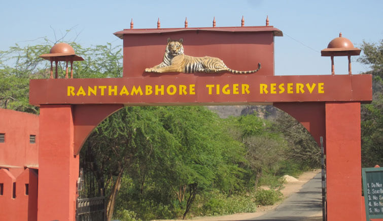 Ranthambore Tiger Reserve