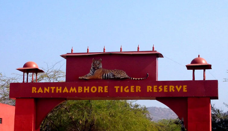 Ranthambhore National Park