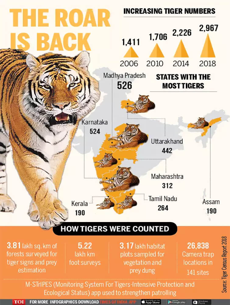 Nepal and India Count their Bengals in Tiger Census