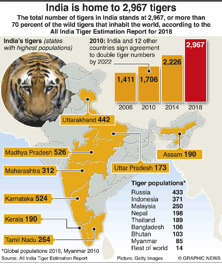 Siberian Tiger Population Chart