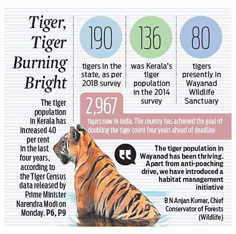 Bengal Tiger Population Chart