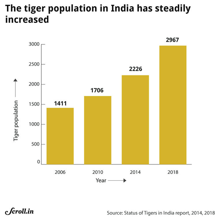 Bengal Tiger Classification Chart