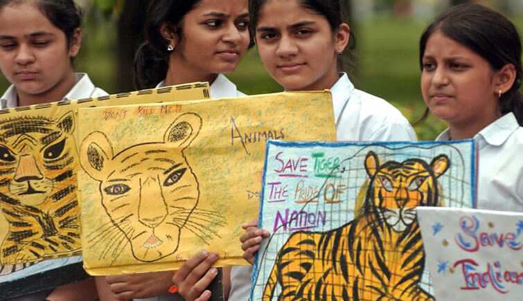 teaching wildlife conservation in schools