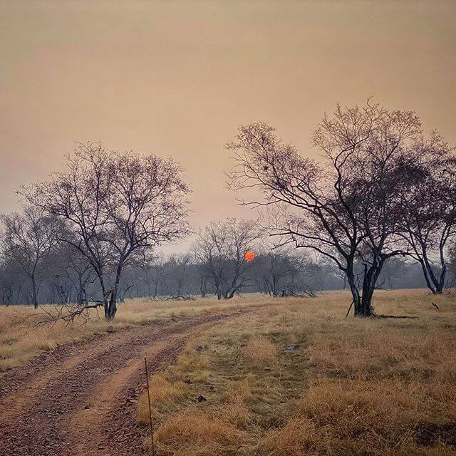 Ranthambore view