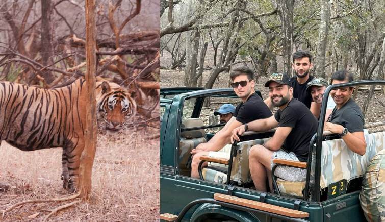 Kane Williamson and Spencer Johnson Visit Ranthambore National Park