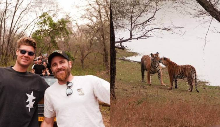 Kane Williamson and Spencer Johnson Visit Ranthambore Tiger Reserve