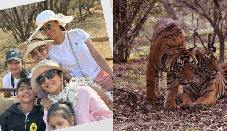 Shilpa Shetty Ranthambore Trip