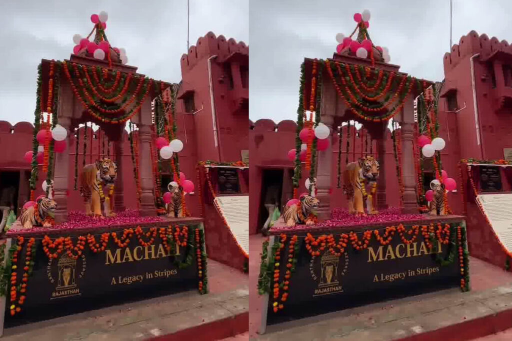 Tigress Machli Memorial Ranthambore