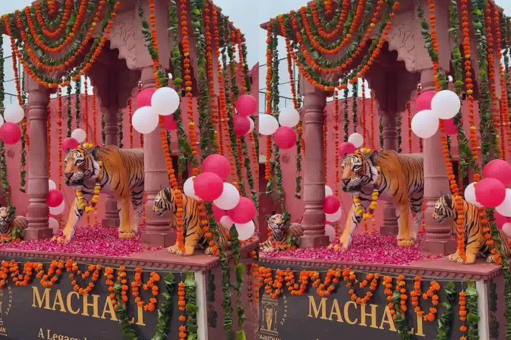 Tigress Machli Memorial Ranthambore