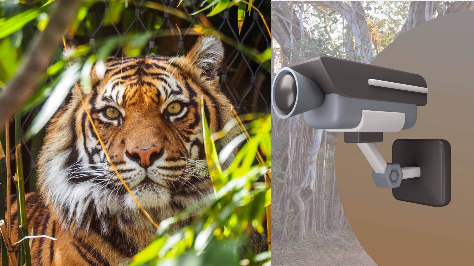 From Traditional Tracking to Technology-Enabled Monitoring