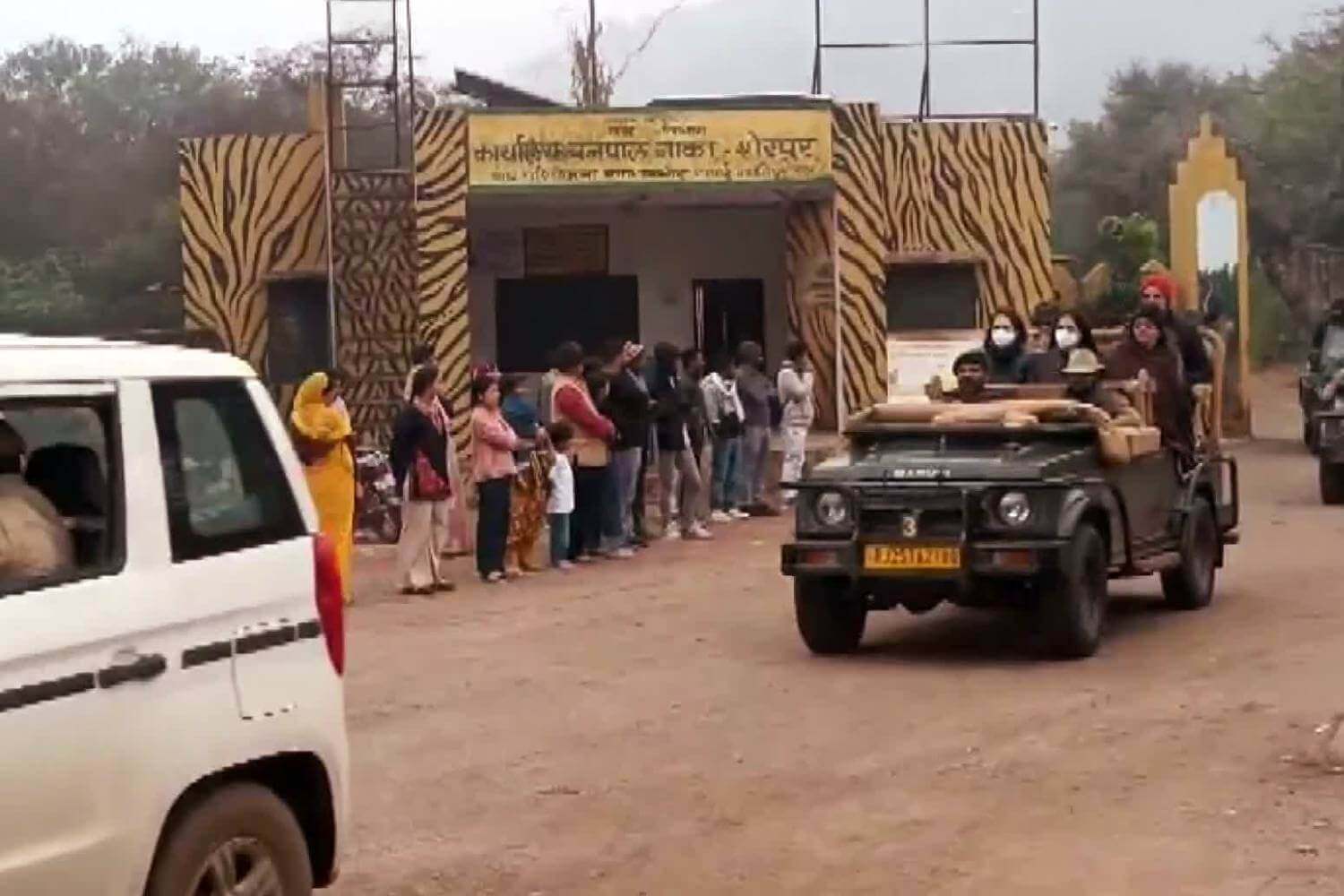 Priyanka Gandhi and Family Enjoys Tiger Safari at Ranthambore National Park