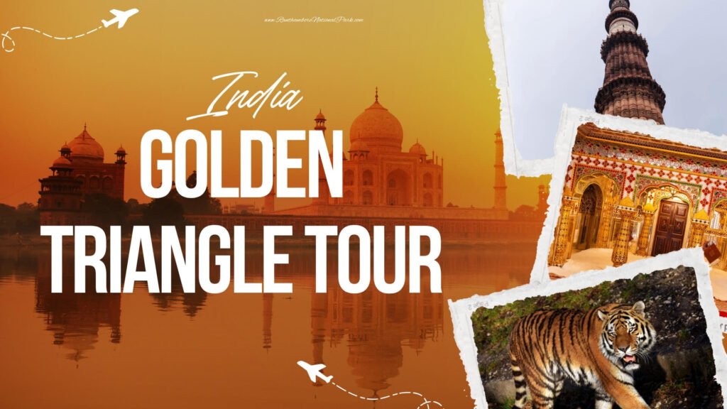 Golden Triangle India Tour