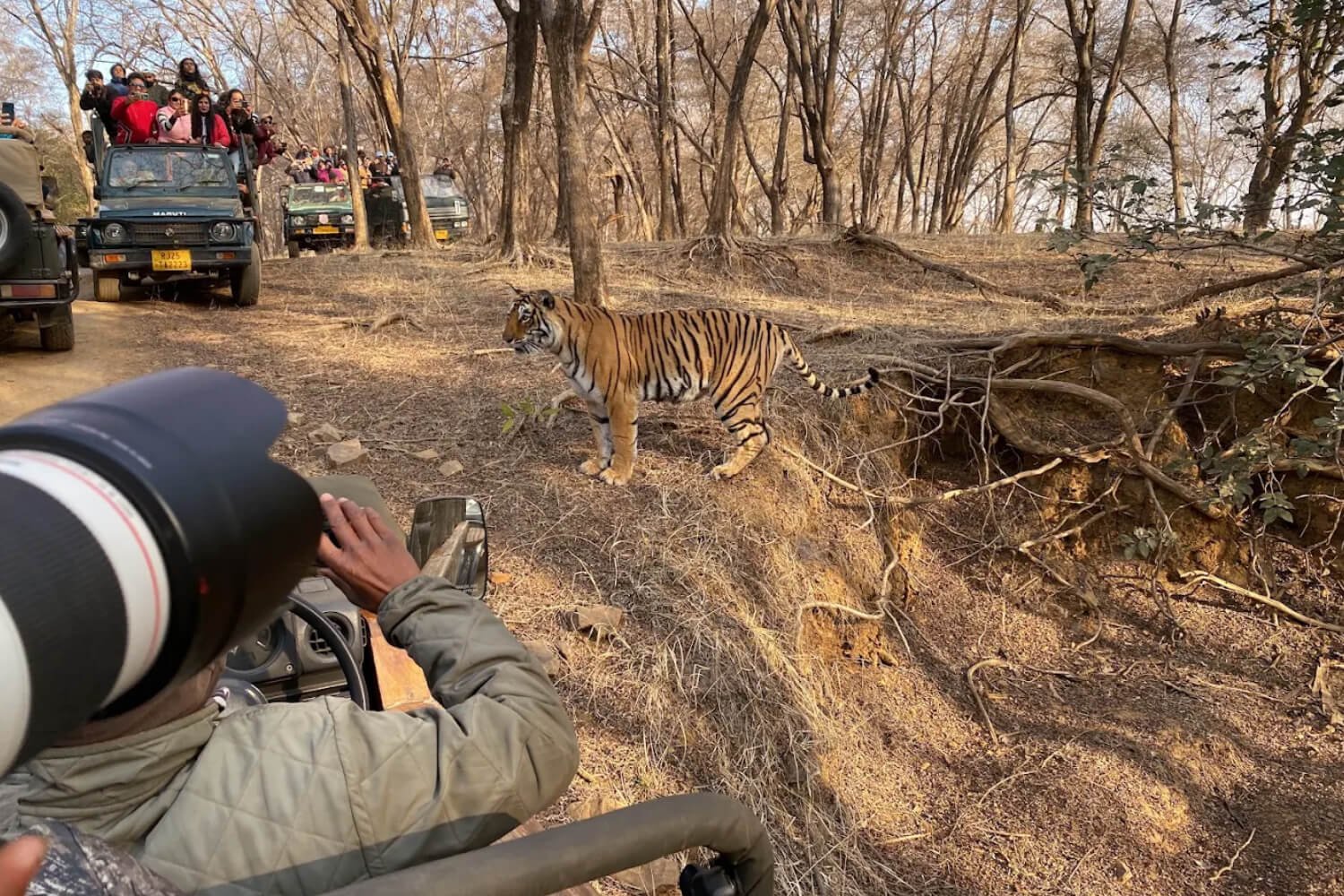 Ranthambore Safari Zones