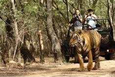 Sajjangarh Biological Park, Udaipur | Entry Fee & Visiting Time