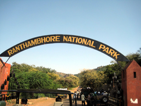Ranthambore Picture Gallery | Latest Photo Gallery of ...